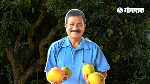 Cosmas Salu D’Souza