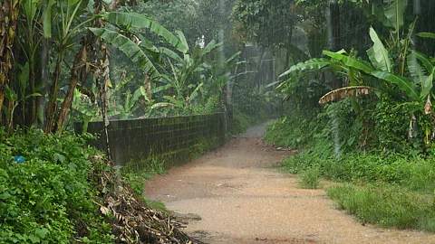 Goa Monsoon