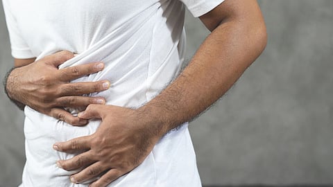 Stomach