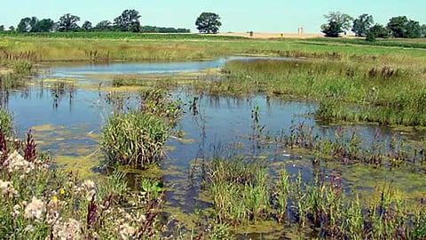 Goa News: फोंड्यातील सहा पाणथळांसाठी मंडळाकडून मसुदा अधिसूचित!