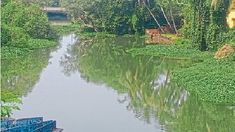 Goa Mapusa River
