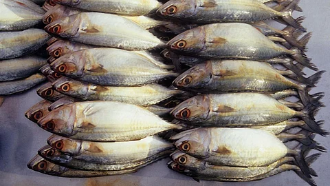 Goa Fish Rate: गोवा राज्यात शंभर रुपयांना पंधरा 'बांगडे'