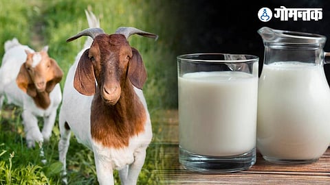 Milk Benefits