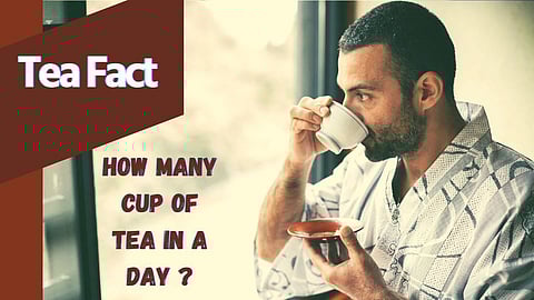 How Many Cup of Tea in a Day
