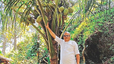 Farming | Goa News