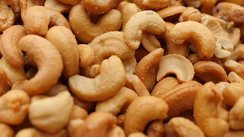 Goa News | Cashew
