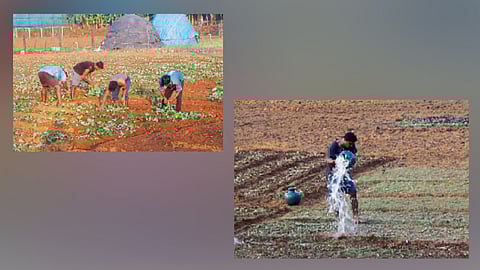 farmer ready for farming 50 percent
