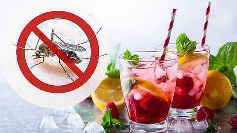 Dengue Fever| healthy tips