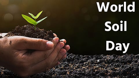 World Soil Day 2022