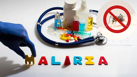 Malaria Home Remedies