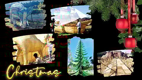 Christmas Festival in Goa | Betalbatim Church
