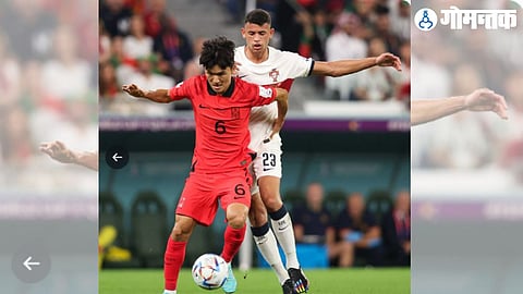 South Korea vs Portugal