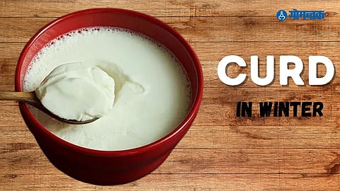 Curd In Winter