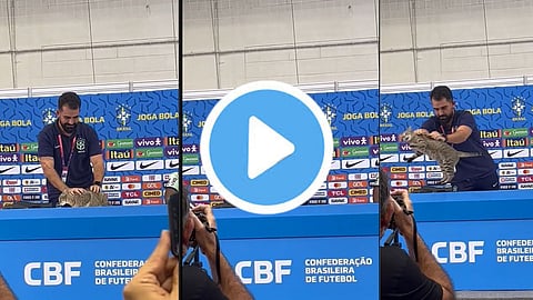 Brazil FIFA WC