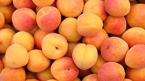 Apricot Health Benefits