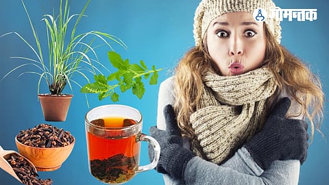 Ayurvedic Medicine
