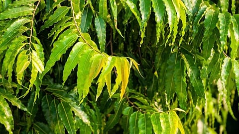 Astro Tips For New Year | Astro Tips For New Year 2023 | Astro Tips 2023