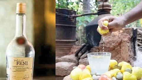 Cashew Feni Goa|Canacona