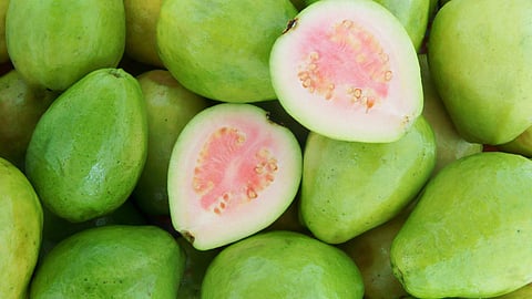 Guava Health Benefits