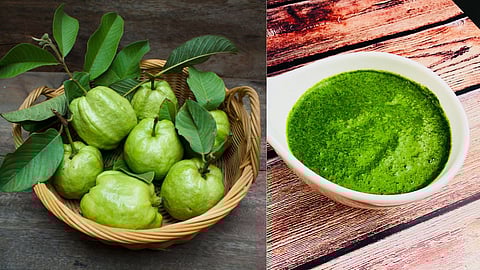 Guava Chutney Recipe