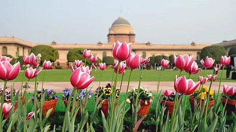 Mughal Garden