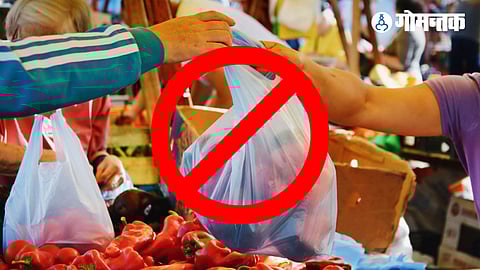 Single-use Plastic Ban