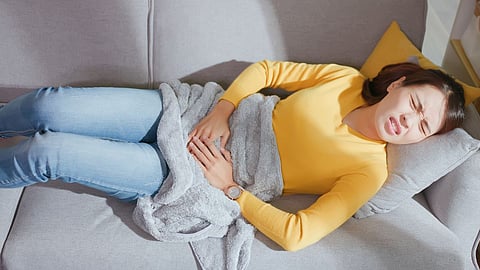 Menstrual cycle |