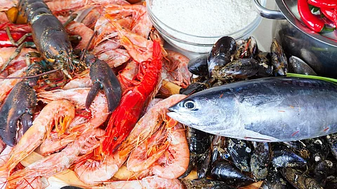 Marine Products | Union Budget 2023