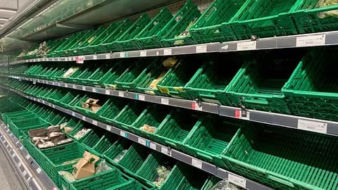 Shortage Of Tomato