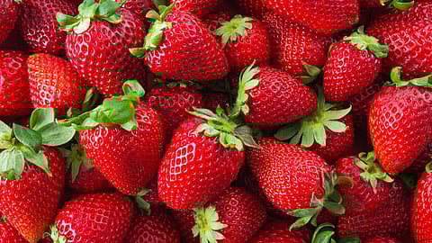 strawberry