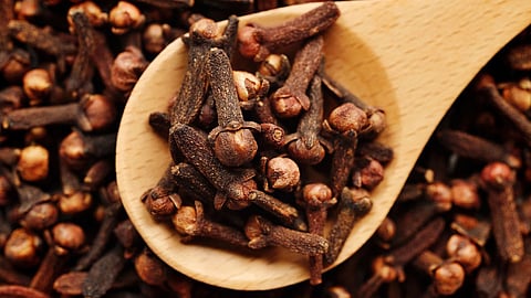 Cloves Health Benefits