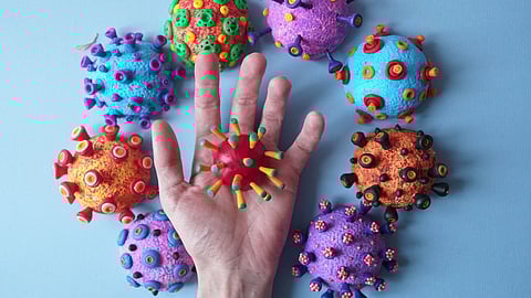 H3N2 Influenza Virus