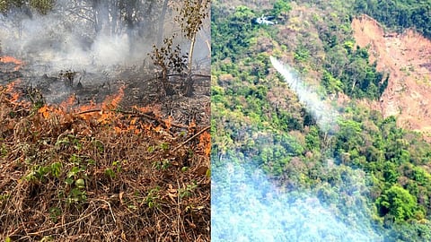Goa Forest Fire
