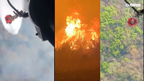 Goa Forest Fire Video