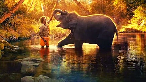 The Elephant Whisperers