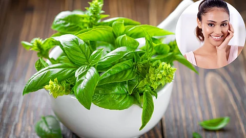Basil Leaves For Skin Care