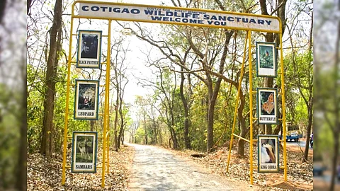 Cotigao Wildlife Sanctuary