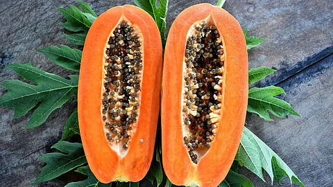 Papaya Side Effects
