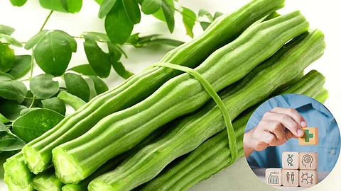 Drumstick Benefits For Men