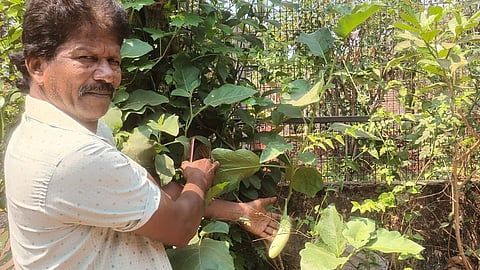 Farmer Prasad Naik giving information about agriculture