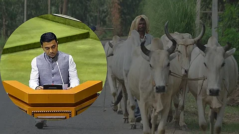 Goa Budget