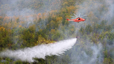 Goa Fire