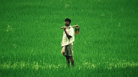 Farmer