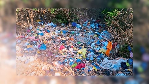 Bicholim Garbage Problem