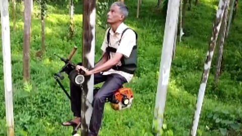 Tree-Climbing Scooter: