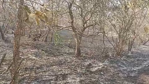 Fire In Goa