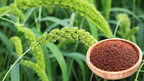 Finger millet Awareness in Farmer