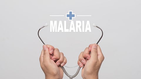 World Malaria Day 2023