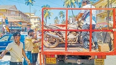 Mapusa RTO
