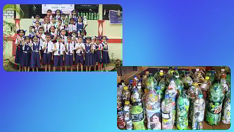 Environmental Conservation